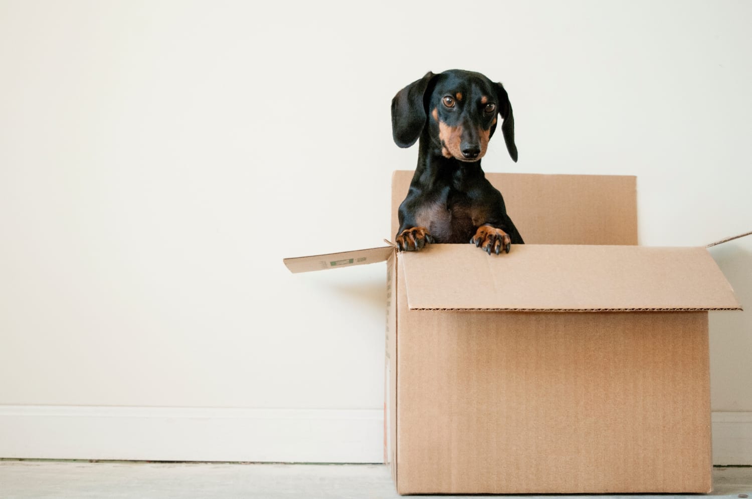 The four principles that you must not ignore before moving into a new apartment.