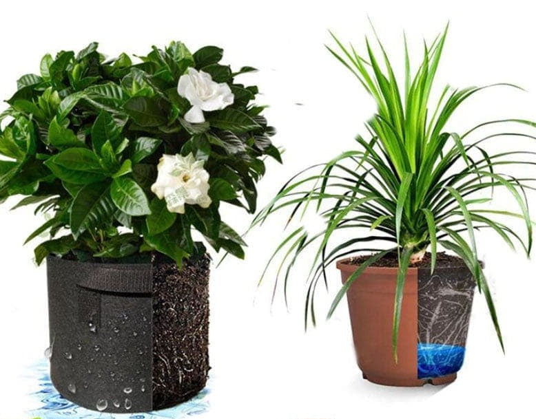 Plant Fiber Grow Bags