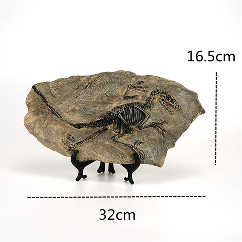 Living room dinosaur fossil figurines