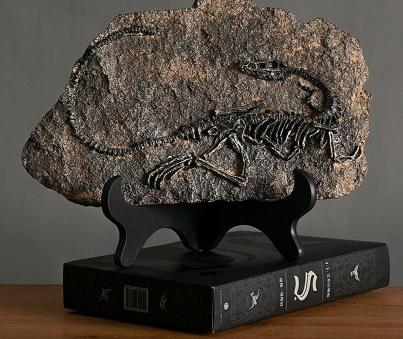 Living room dinosaur fossil figurines