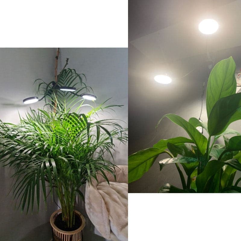 Sweet crib Phyto lamp Phytolamp for plant