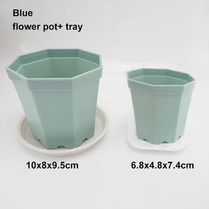 Sweet crib Plant & Herb Growing Kits 1set blue / 6.8x4.8x7.4cm Pots for plants and flowers