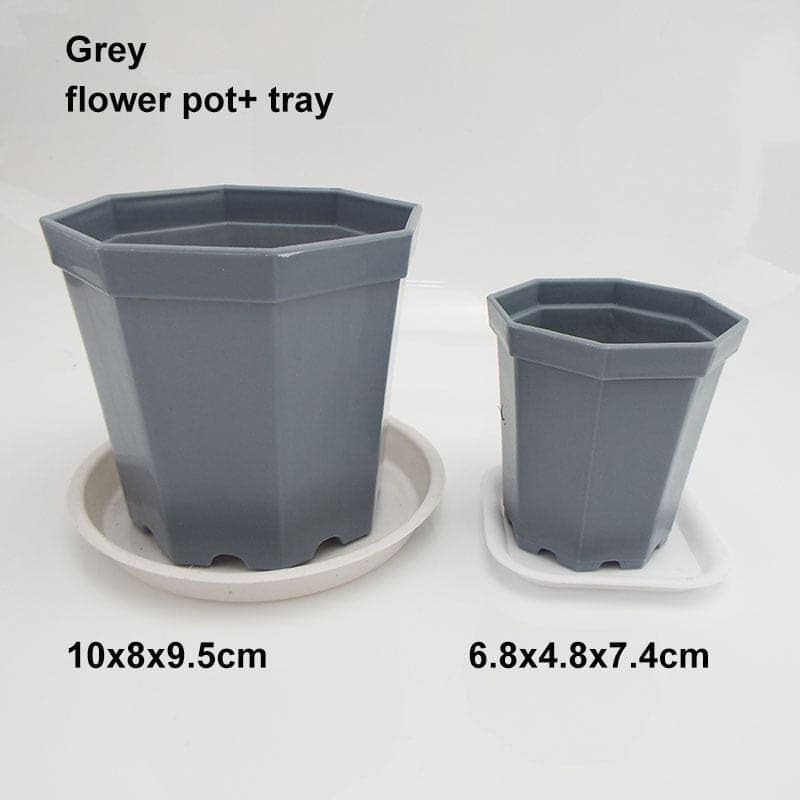 Sweet crib Plant & Herb Growing Kits 1set grey / 6.8x4.8x7.4cm Pots for plants and flowers