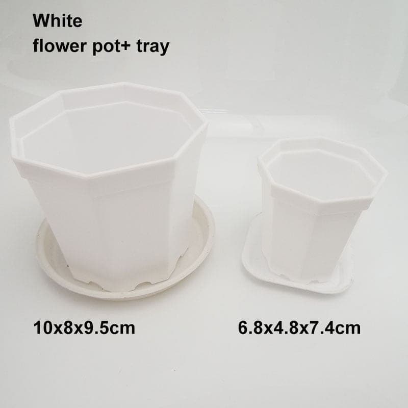 Sweet crib Plant & Herb Growing Kits 4set white / 6.8x4.8x7.4cm Pots for plants and flowers