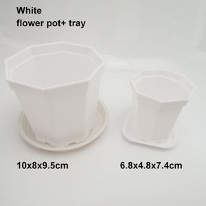 Sweet crib Plant & Herb Growing Kits 4set white / 6.8x4.8x7.4cm Pots for plants and flowers