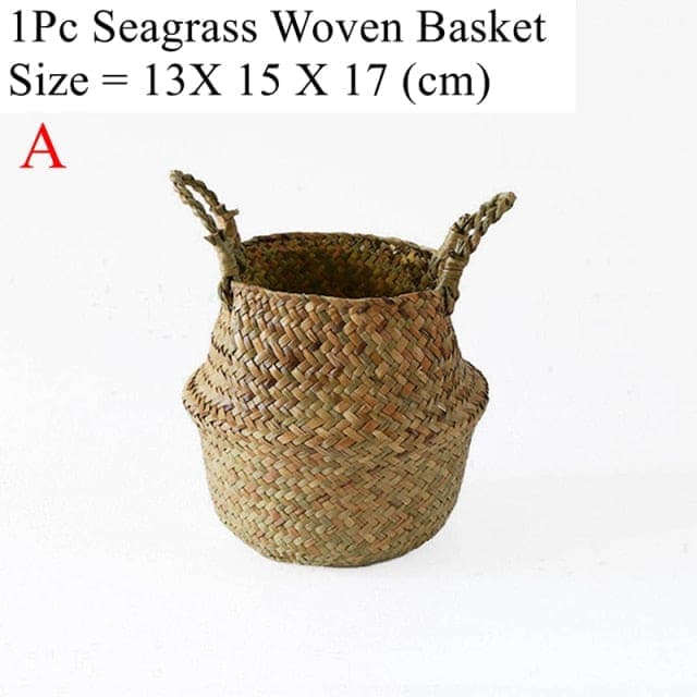 sweety-crib garden Woven Basket Plant